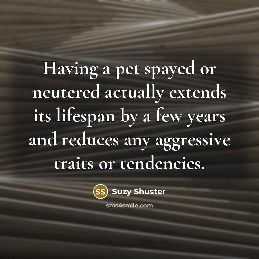 “Having a pet spayed or neutered actually extends its lifespan by a few years and reduces any aggressive traits or tendencies.” quote by Suzy Shuster
