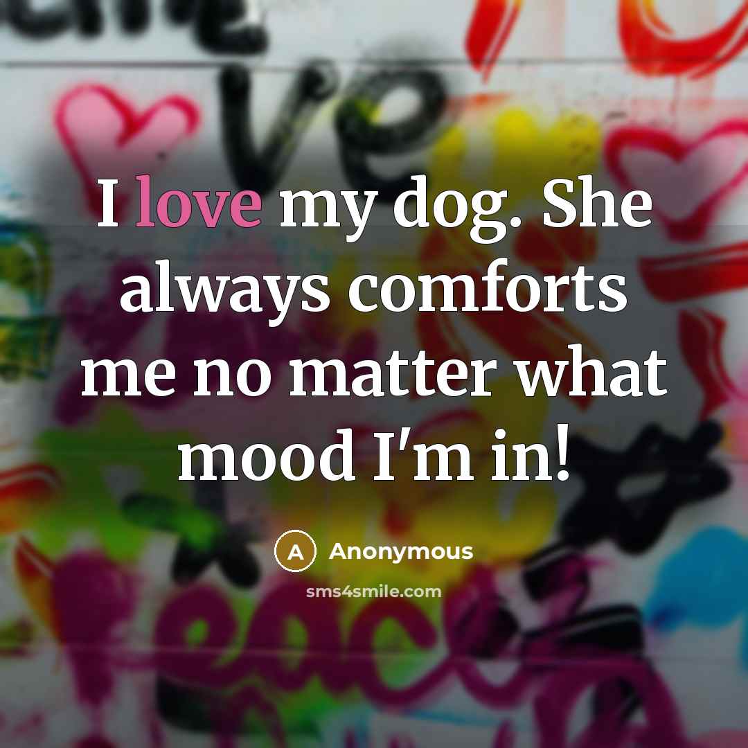 “I love my dog. She always comforts me no matter what mood I'm in!” quote by Anonymous