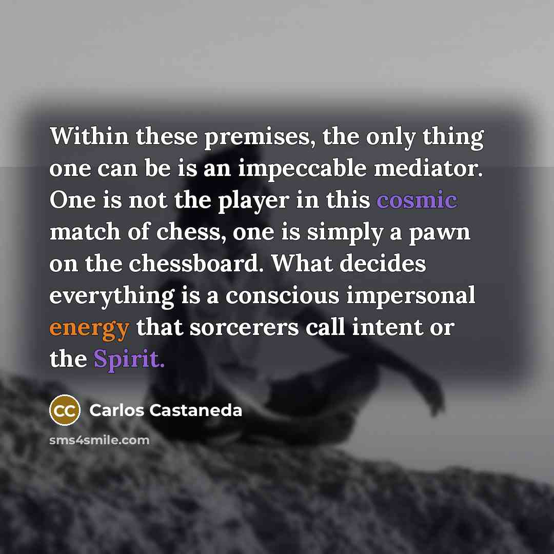 “Within these premises, the only thing one can be is an impeccable mediator. One is not the player in this cosmic match of chess, one is simply a pawn on the chessboard. What decides everything is a conscious impersonal energy that sorcerers call intent or the Spirit.” quote by Carlos Castaneda