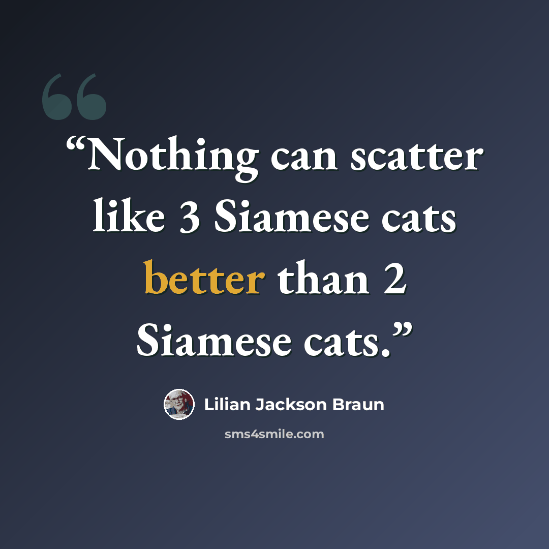 “Nothing can scatter like 3 Siamese cats better than 2 Siamese cats.” quote by Lilian Jackson Braun