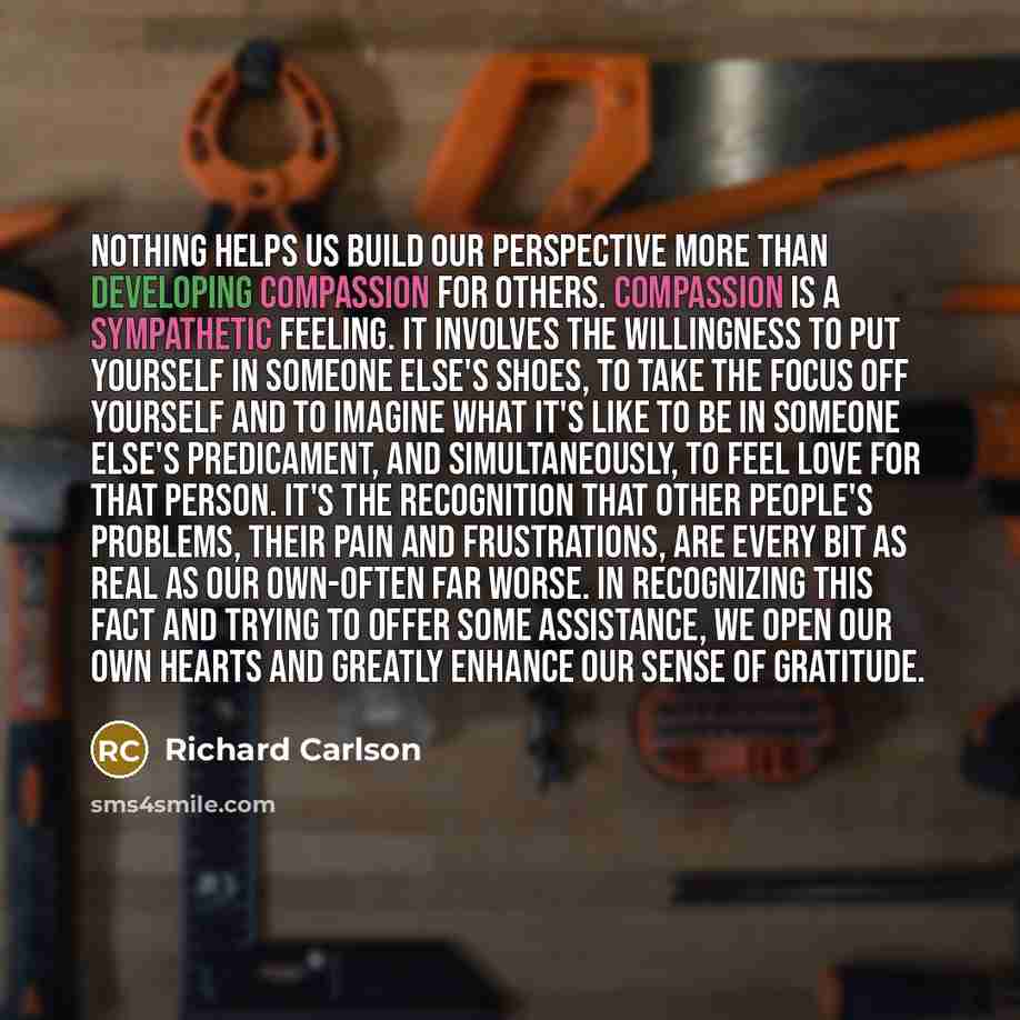 “Nothing helps us build our perspective more than developing compassion for others. Compassion is a sympathetic feeling. It involves the willingness to put yourself in someone else's shoes, to take the focus off yourself and to imagine what it's like to be in someone else's predicament, and…” quote by Richard Carlson