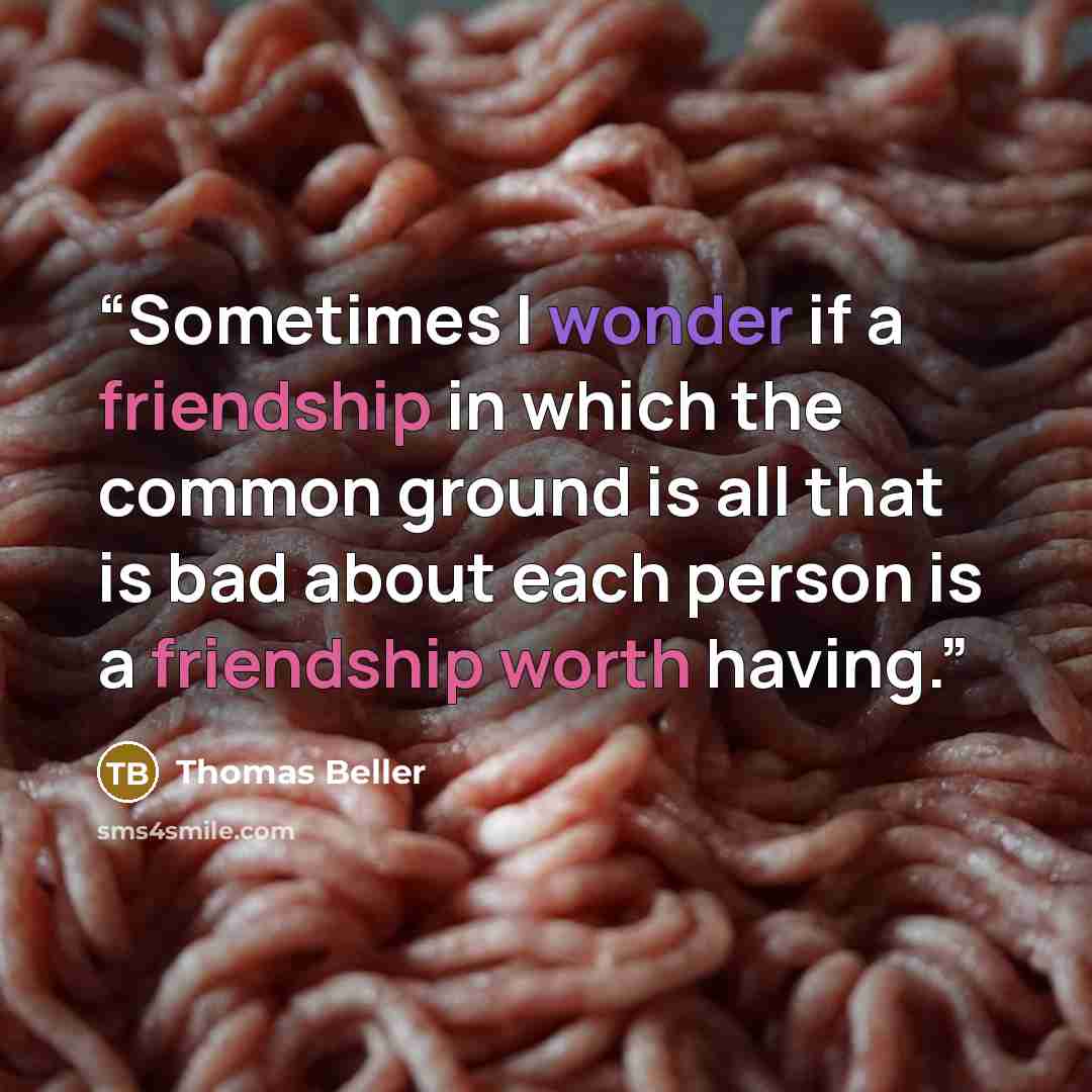 “Sometimes I wonder if a friendship in which the common ground is all that is bad about each person is a friendship worth having.” quote by Thomas Beller