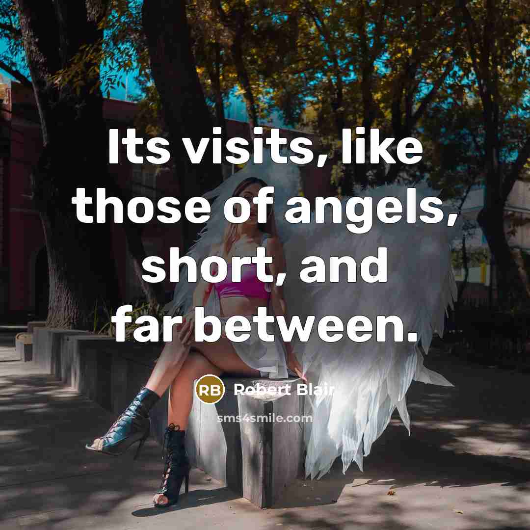 “Its visits, like those of angels, short, and far between.” quote by Robert Blair