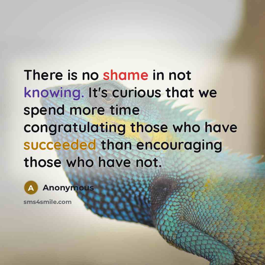 “There is no shame in not knowing. It's curious that we spend more time congratulating those who have succeeded than encouraging those who have not.” quote by Anonymous