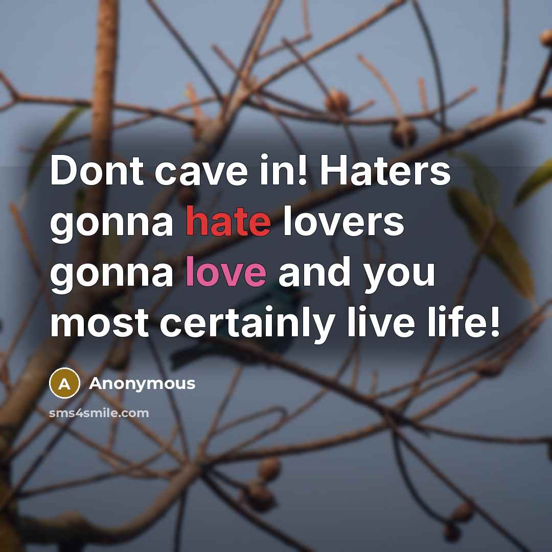 “Dont cave in! Haters gonna hate lovers gonna love and you most certainly live life!” quote by Anonymous