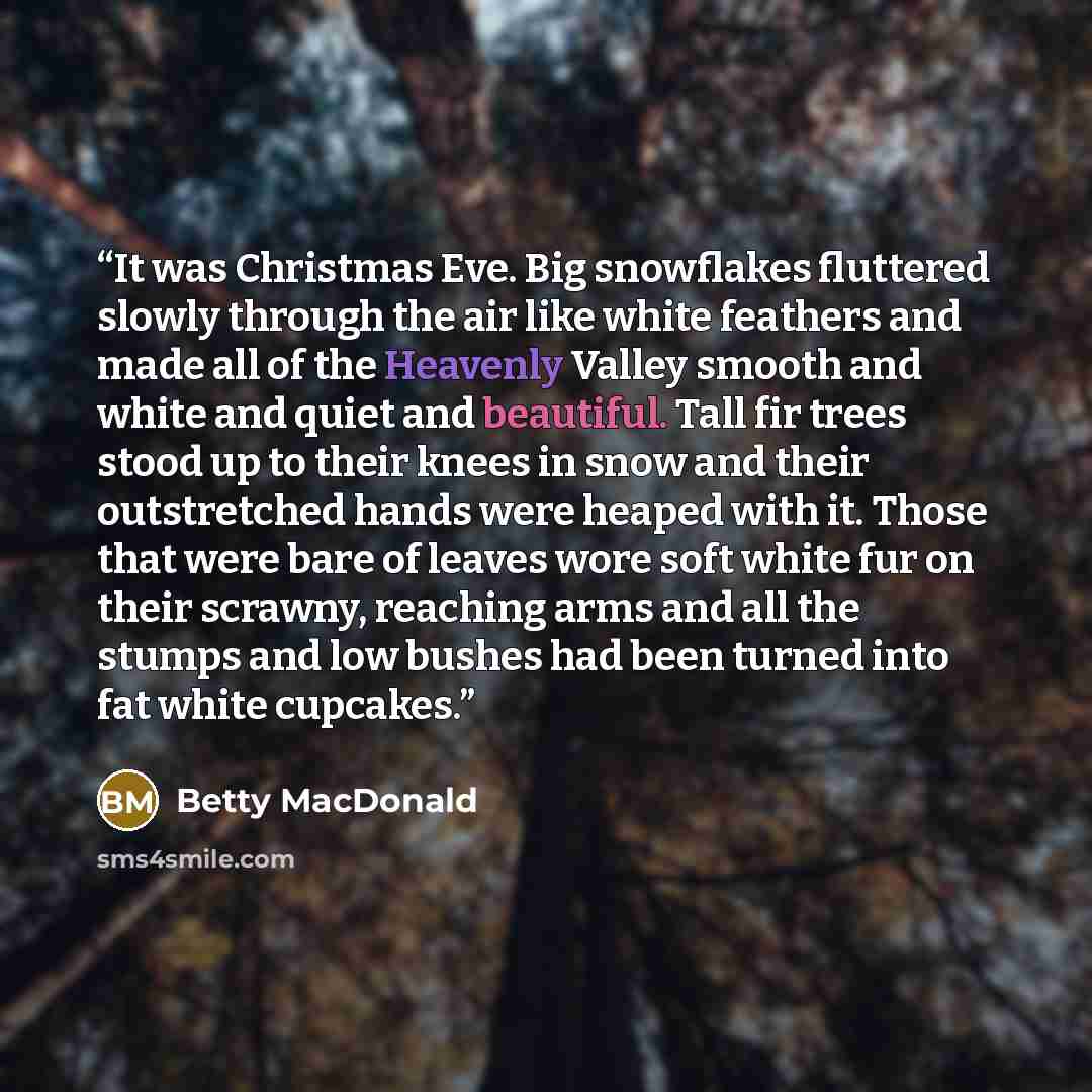 “It was Christmas Eve. Big snowflakes fluttered slowly through the air like white feathers and made all of the Heavenly Valley smooth and white and quiet and beautiful. Tall fir trees stood up to their knees in snow and their outstretched hands were heaped with it. Those that were bare of leaves…” quote by Betty MacDonald