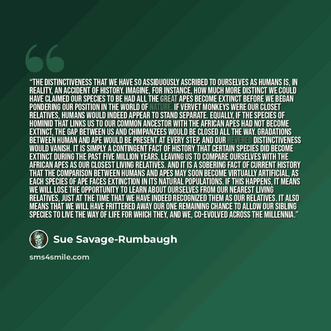 “The distinctiveness that we have so assiduously ascribed to ourselves as humans is, in reality, an accident of history. Imagine, for instance, how much more distinct we could have claimed our species to be had all the great apes become extinct before we began pondering our position in the world of…” quote by Sue Savage-Rumbaugh