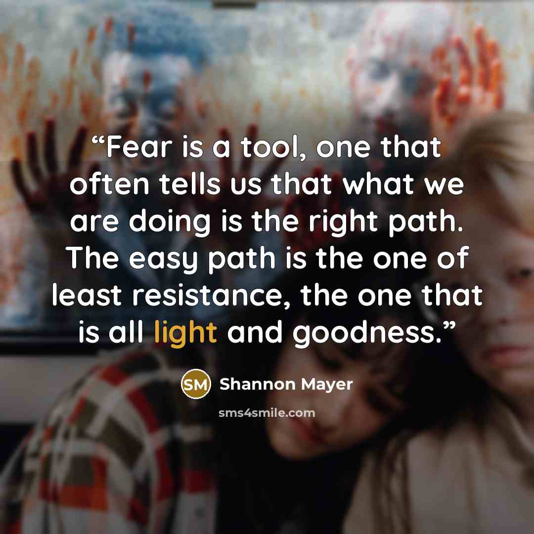 “Fear is a tool, one that often tells us that what we are doing is the right path. The easy path is the one of least resistance, the one that is all light and goodness.” quote by Shannon Mayer