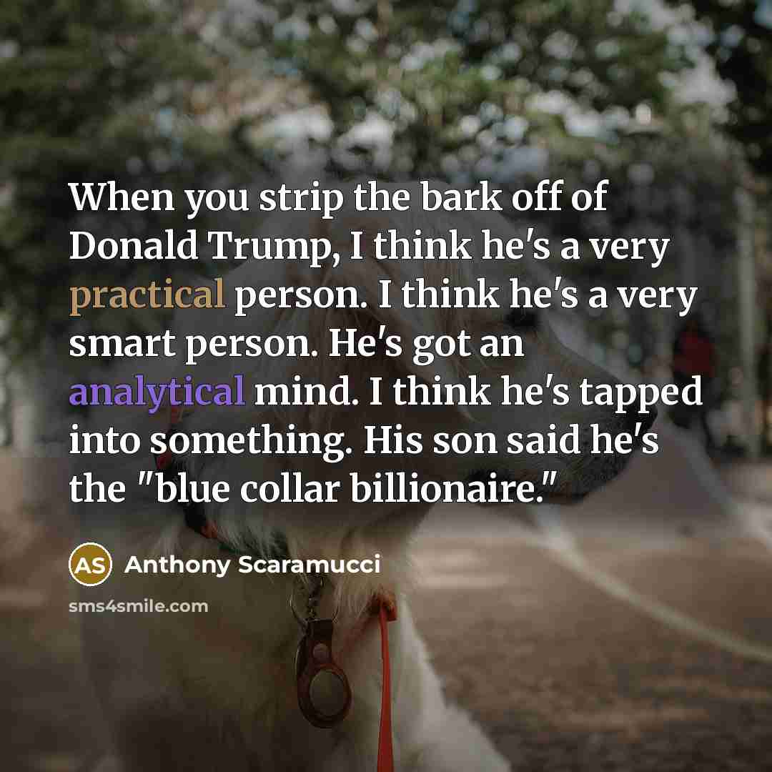“When you strip the bark off of Donald Trump, I think he's a very practical person. I think he's a very smart person. He's got an analytical mind. I think he's tapped into something. His son said he's the "blue collar billionaire."” quote by Anthony Scaramucci
