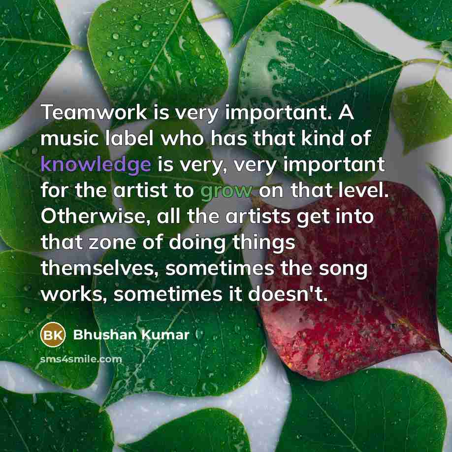 “Teamwork is very important. A music label who has that kind of knowledge is very, very important for the artist to grow on that level. Otherwise, all the artists get into that zone of doing things themselves, sometimes the song works, sometimes it doesn't.” quote by Bhushan Kumar