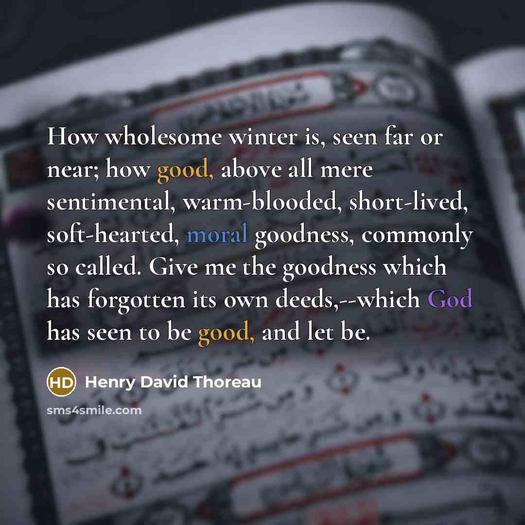“How wholesome winter is, seen far or near; how good, above all mere sentimental, warm-blooded, short-lived, soft-hearted, moral goodness, commonly so called. Give me the goodness which has forgotten its own deeds,--which God has seen to be good, and let be.” quote by Henry David Thoreau