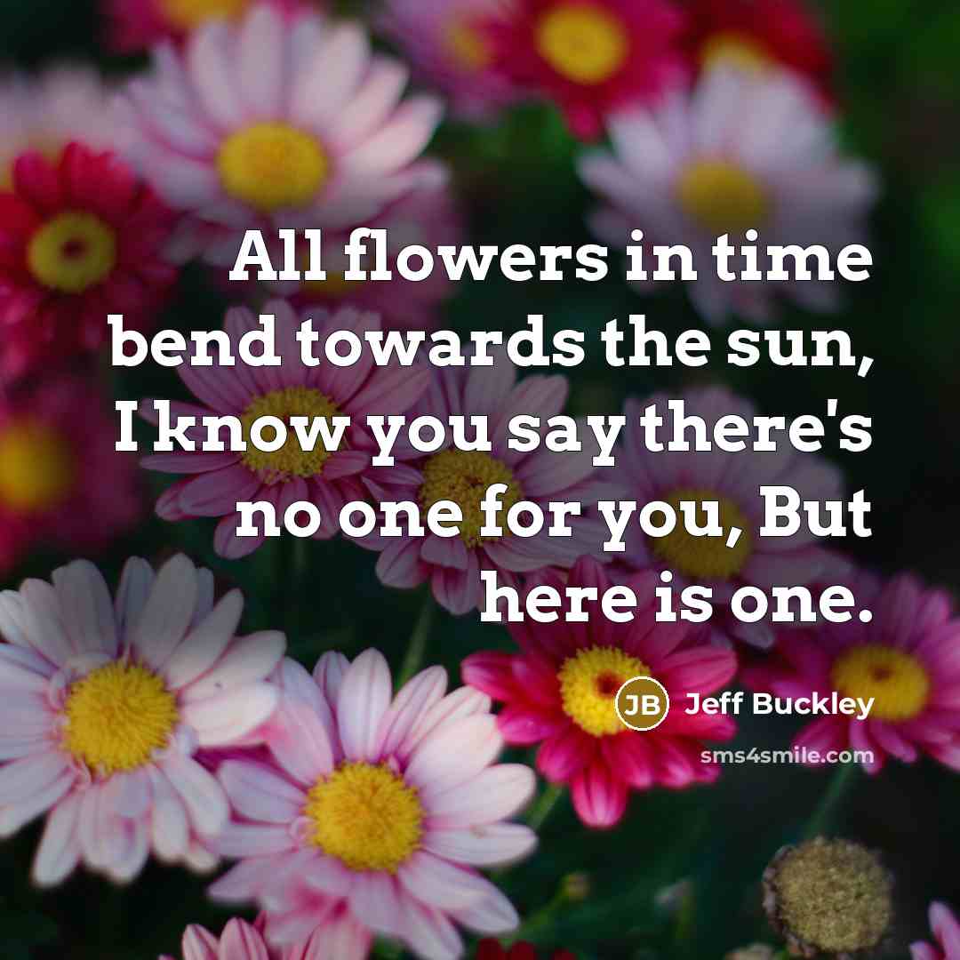 “All flowers in time bend towards the sun, I know you say there's no one for you, But here is one.” quote by Jeff Buckley