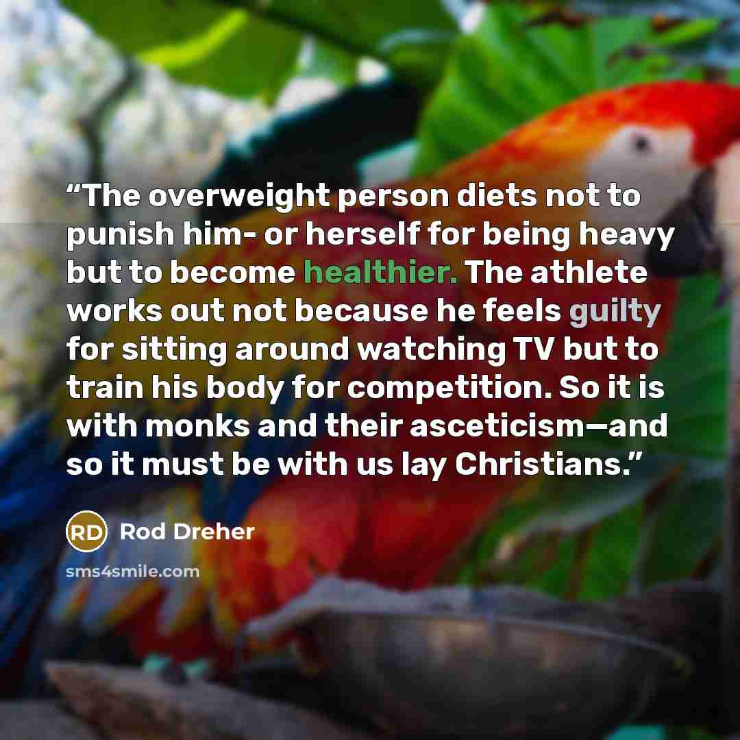 “The overweight person diets not to punish him- or herself for being heavy but to become healthier. The athlete works out not because he feels guilty for sitting around watching TV but to train his body for competition. So it is with monks and their asceticism—and so it must be with us lay…” quote by Rod Dreher