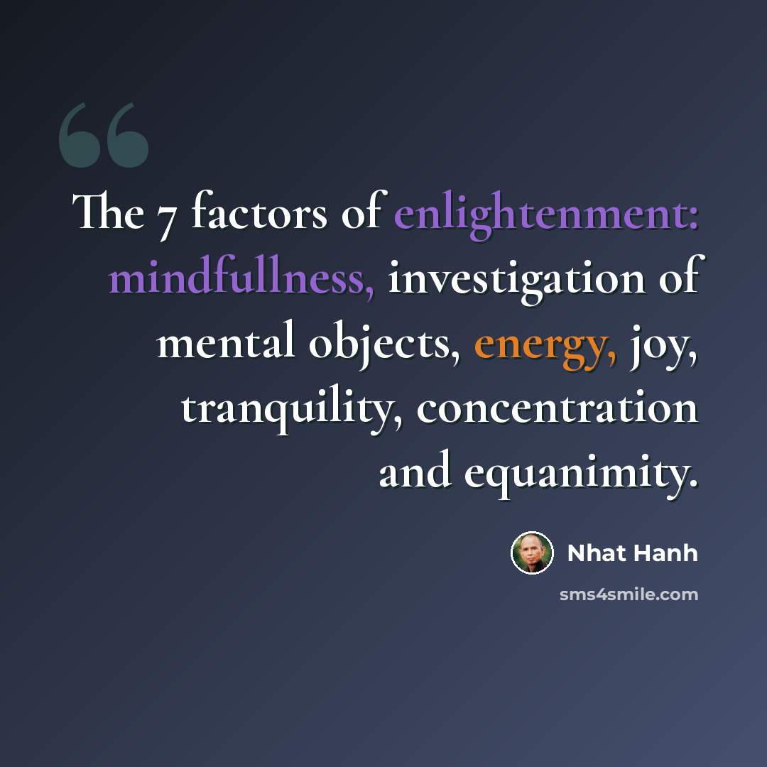 “The 7 factors of enlightenment: mindfullness, investigation of mental objects, energy, joy, tranquility, concentration and equanimity.” quote by Nhat Hanh