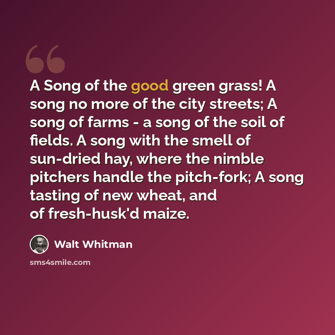 “A Song of the good green grass! A song no more of the city streets; A song of farms - a song of the soil of fields. A song with the smell of sun-dried hay, where the nimble pitchers handle the pitch-fork; A song tasting of new wheat, and of fresh-husk'd maize.” quote by Walt Whitman