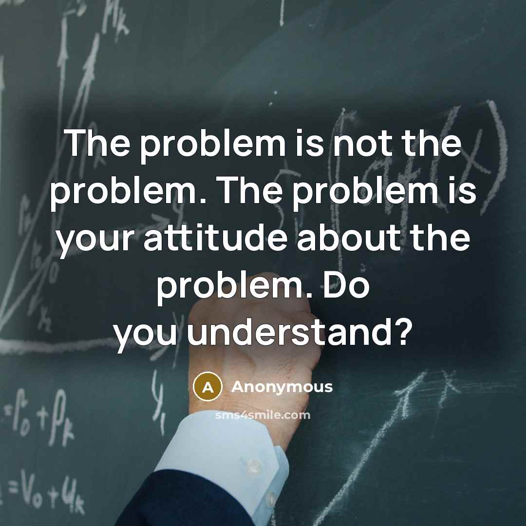 “The problem is not the problem. The problem is your attitude about the problem. Do you understand?” quote by Anonymous