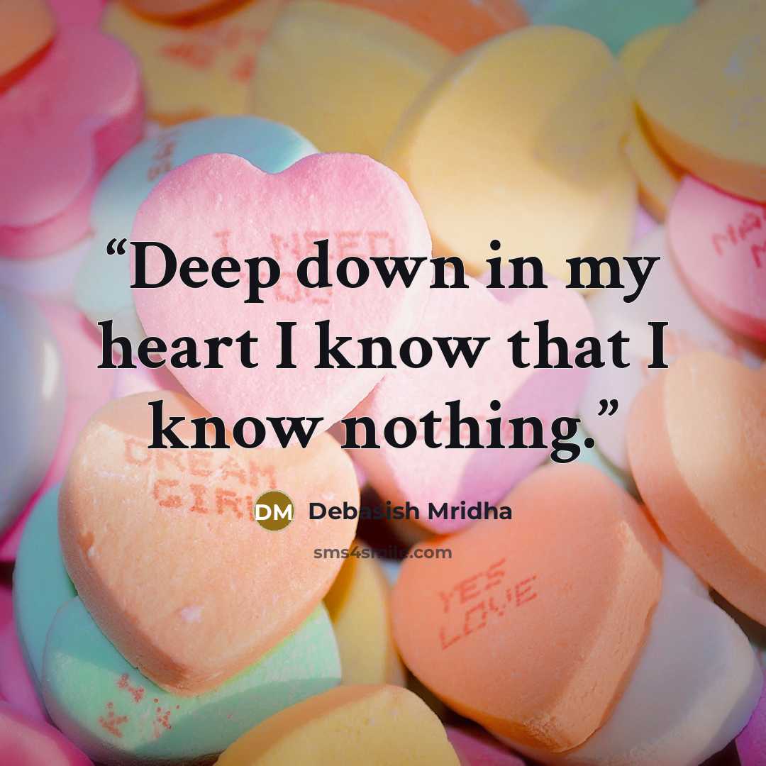 “Deep down in my heart I know that I know nothing.” quote by Debasish Mridha