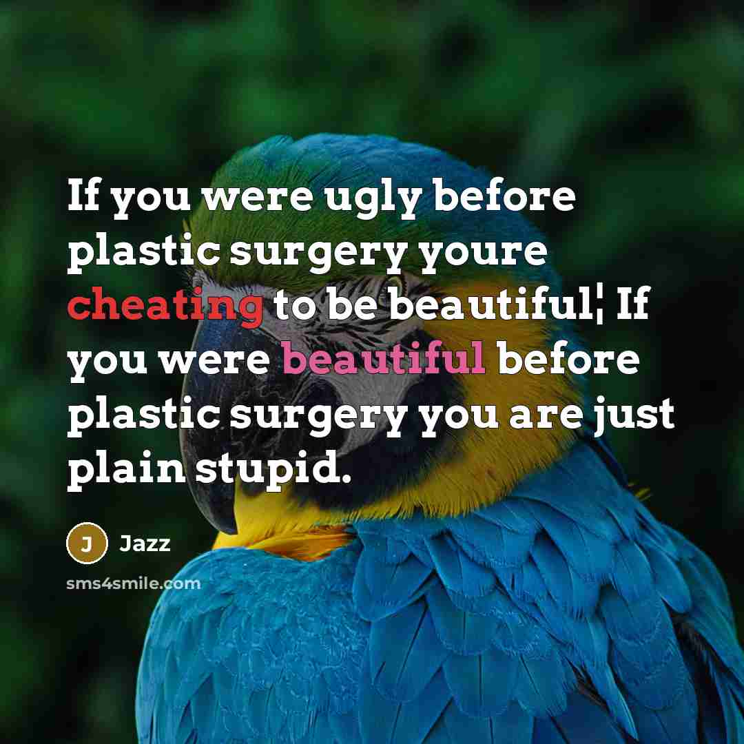“If you were ugly before plastic surgery youre cheating to be beautiful¦ If you were beautiful before plastic surgery you are just plain stupid.” quote by Jazz