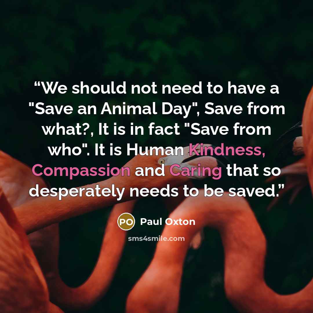 “We should not need to have a "Save an Animal Day", Save from what?, It is in fact "Save from who". It is Human Kindness, Compassion and Caring that so desperately needs to be saved.” quote by Paul Oxton