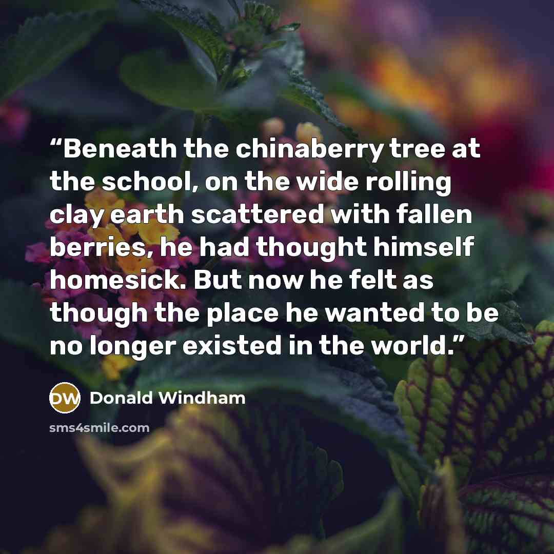 “Beneath the chinaberry tree at the school, on the wide rolling clay earth scattered with fallen berries, he had thought himself homesick. But now he felt as though the place he wanted to be no longer existed in the world.” quote by Donald Windham
