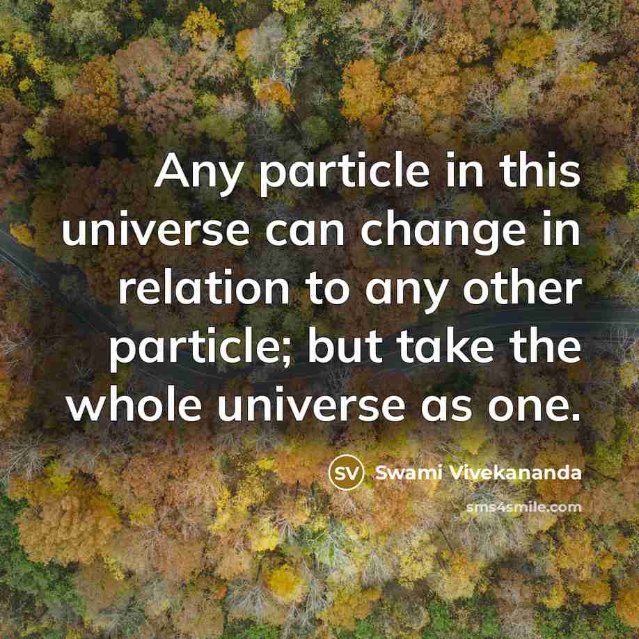 “Any particle in this universe can change in relation to any other particle; but take the whole universe as one.” quote by Swami Vivekananda