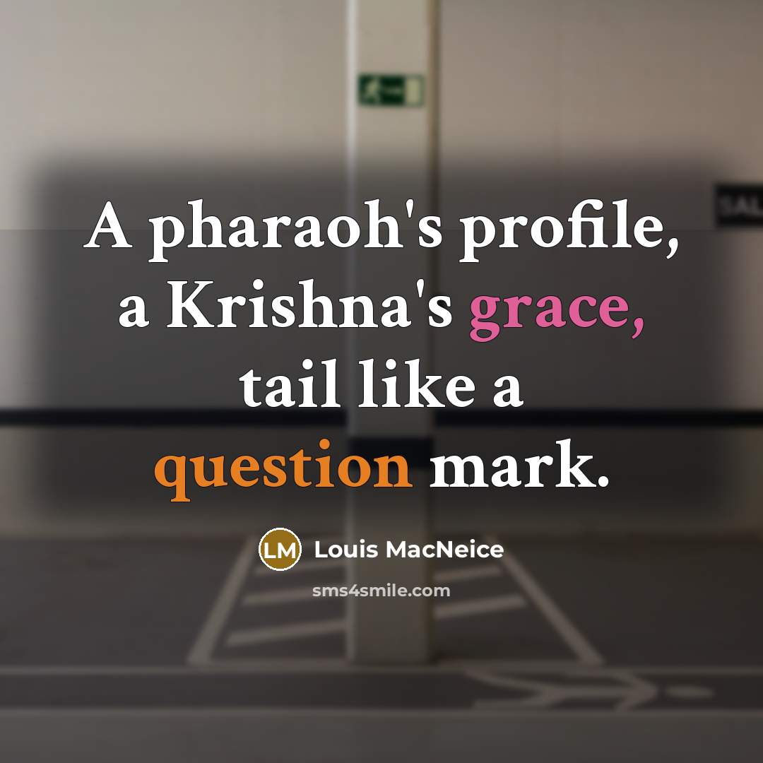 “A pharaoh's profile, a Krishna's grace, tail like a question mark.” quote by Louis MacNeice