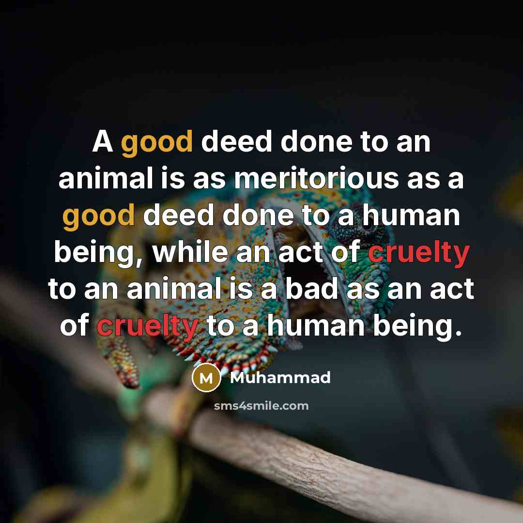 “A good deed done to an animal is as meritorious as a good deed done to a human being, while an act of cruelty to an animal is a bad as an act of cruelty to a human being.” quote by Muhammad