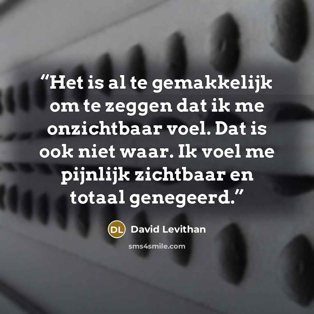 “Het is al te gemakkelijk om te zeggen dat ik me onzichtbaar voel. Dat is ook niet waar. Ik voel me pijnlijk zichtbaar en totaal genegeerd.” quote by David Levithan