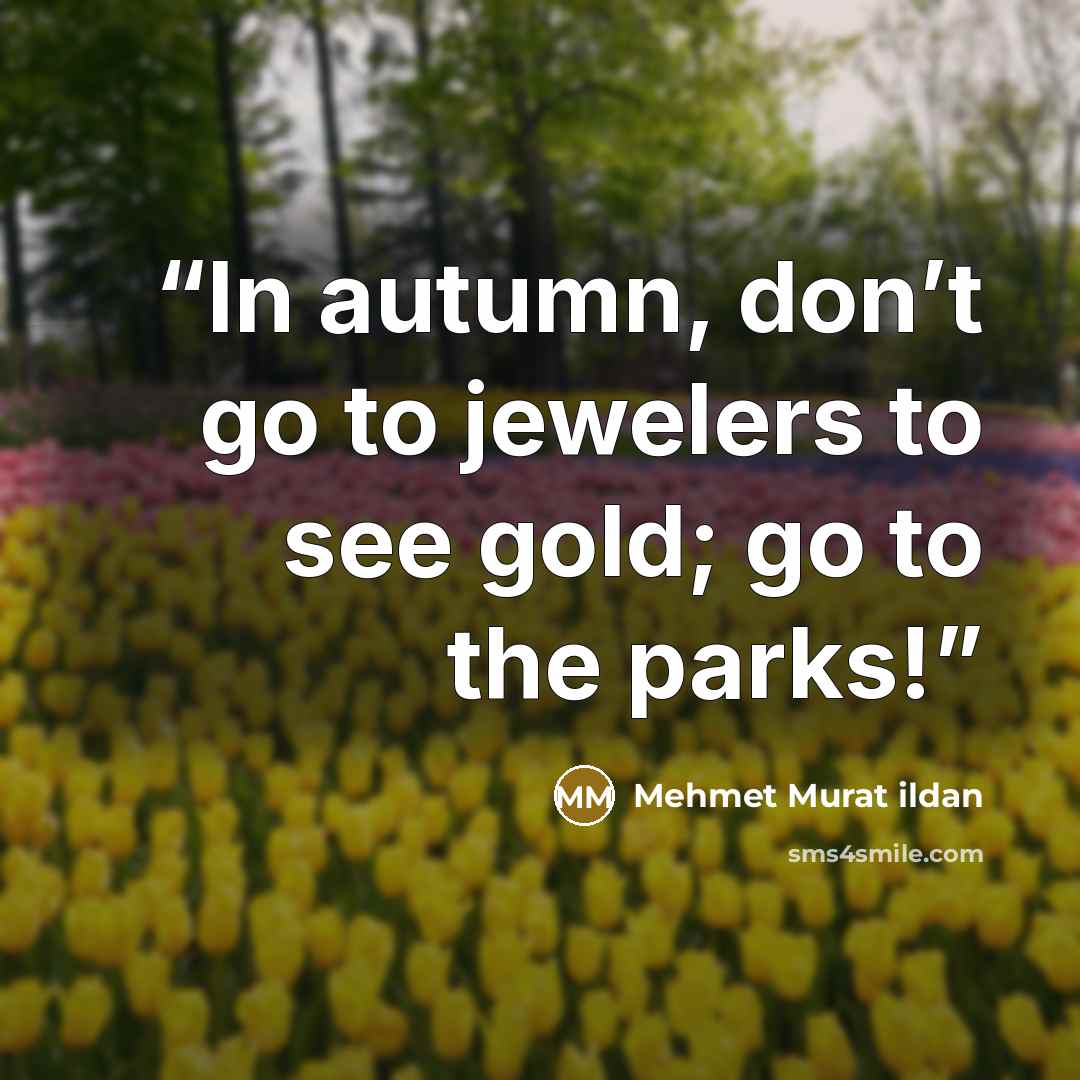 “In autumn, don’t go to jewelers to see gold; go to the parks!” quote by Mehmet Murat ildan