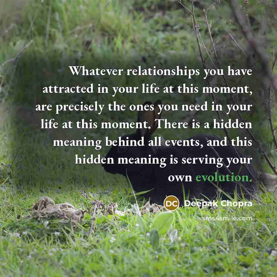 “Whatever relationships you have attracted in your life at this moment, are precisely the ones you need in your life at this moment. There is a hidden meaning behind all events, and this hidden meaning is serving your own evolution.” quote by Deepak Chopra