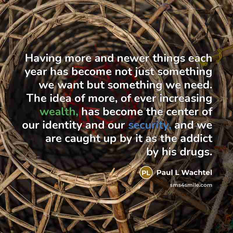 “Having more and newer things each year has become not just something we want but something we need. The idea of more, of ever increasing wealth, has become the center of our identity and our security, and we are caught up by it as the addict by his drugs.” quote by Paul L Wachtel