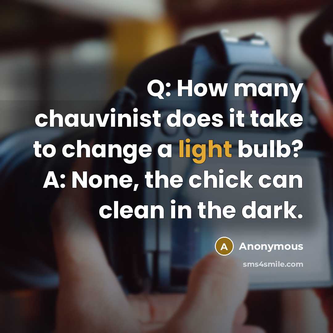 “Q: How many chauvinist does it take to change a light bulb? A: None, the chick can clean in the dark.” quote by Anonymous