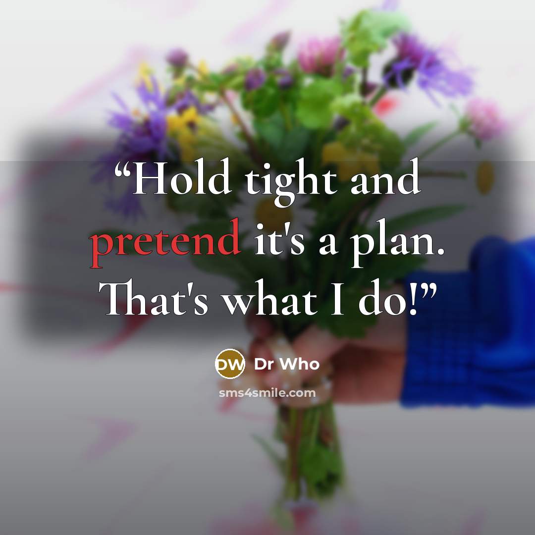 “Hold tight and pretend it's a plan. That's what I do!” quote by Dr Who