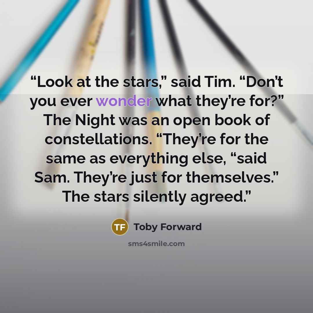 “Look at the stars,” said Tim. “Don’t you ever wonder what they’re for?” The Night was an open book of constellations. “They’re for the same as everything else, “said Sam. They’re just for themselves.” The stars silently agreed.” quote by Toby Forward