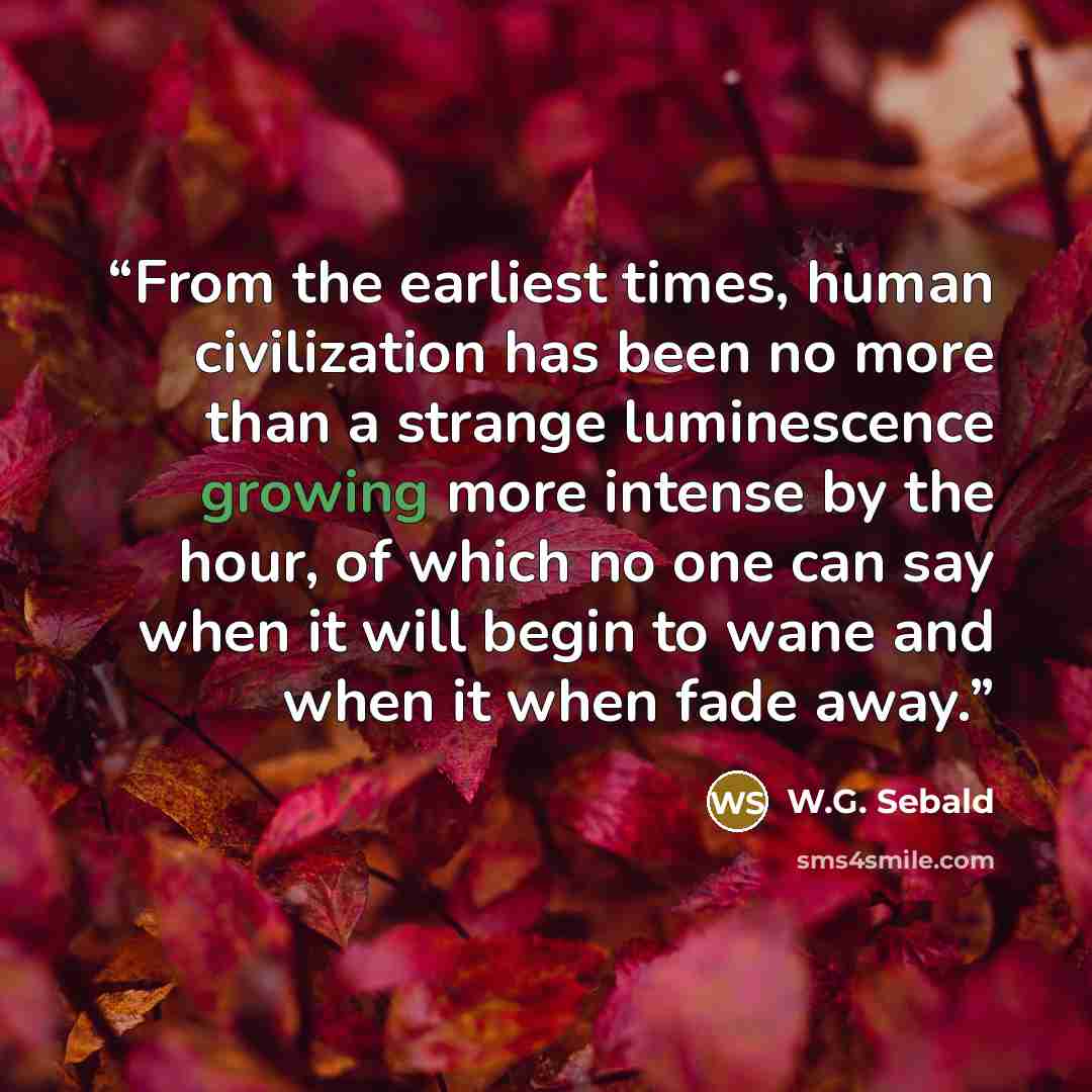 “From the earliest times, human civilization has been no more than a strange luminescence growing more intense by the hour, of which no one can say when it will begin to wane and when it when fade away.” quote by W.G. Sebald