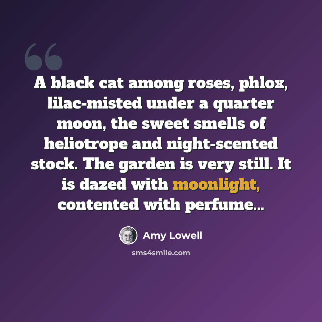 “A black cat among roses, phlox, lilac-misted under a quarter moon, the sweet smells of heliotrope and night-scented stock. The garden is very still. It is dazed with moonlight, contented with perfume...” quote by Amy Lowell