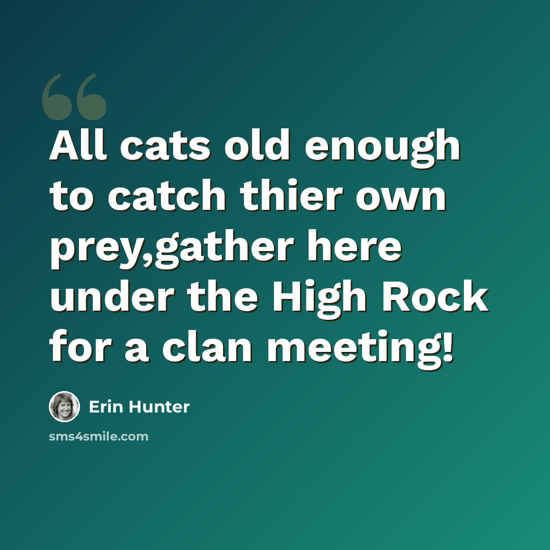 “All cats old enough to catch thier own prey,gather here under the High Rock for a clan meeting!” quote by Erin Hunter