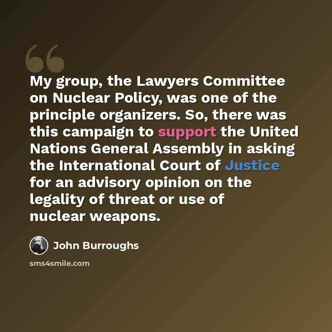 “My group, the Lawyers Committee on Nuclear Policy, was one of the principle organizers. So, there was this campaign to support the United Nations General Assembly in asking the International Court of Justice for an advisory opinion on the legality of threat or use of nuclear weapons.” quote by John Burroughs