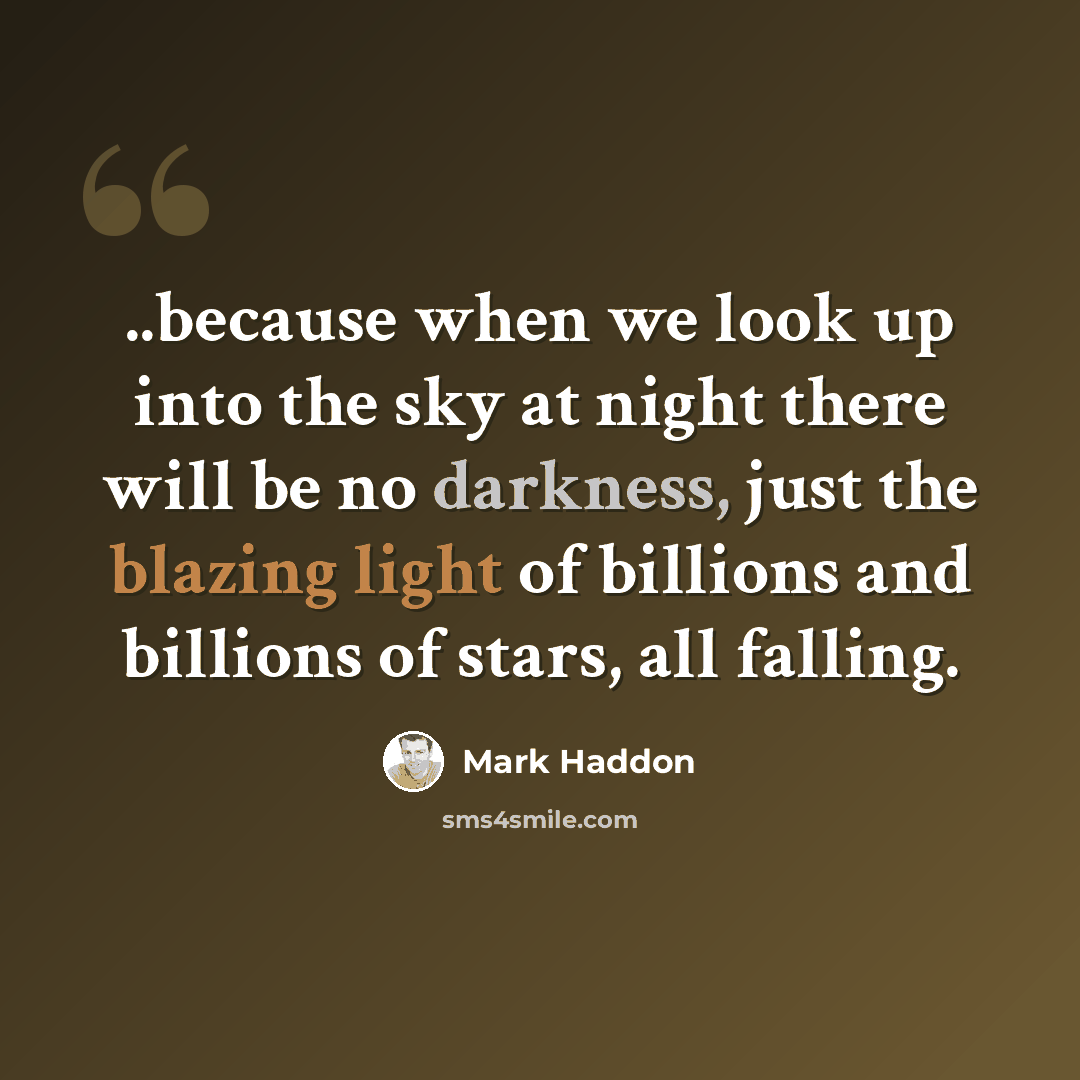 “..because when we look up into the sky at night there will be no darkness, just the blazing light of billions and billions of stars, all falling.” quote by Mark Haddon