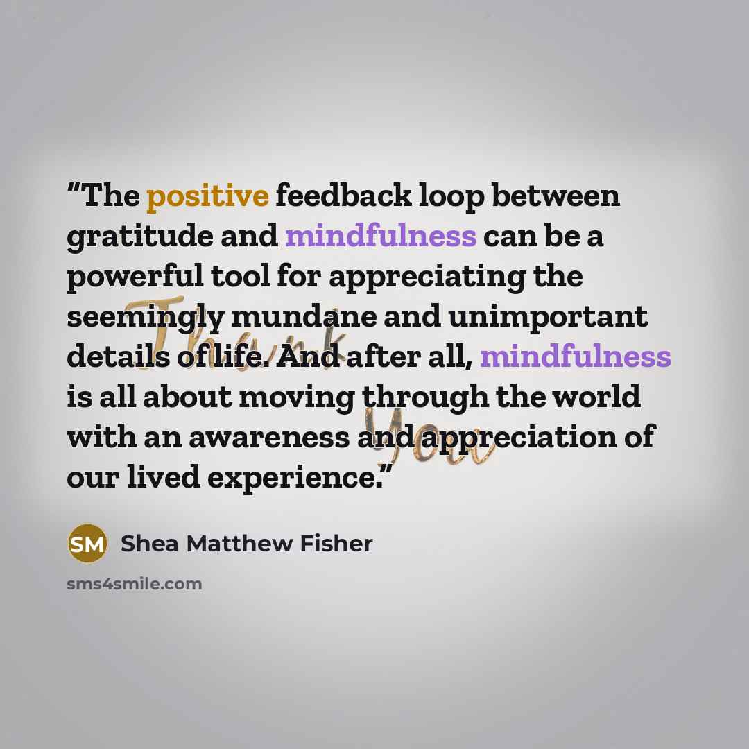“The positive feedback loop between gratitude and mindfulness can be a powerful tool for appreciating the seemingly mundane and unimportant details of life. And after all, mindfulness is all about moving through the world with an awareness and appreciation of our lived experience.” quote by Shea Matthew Fisher