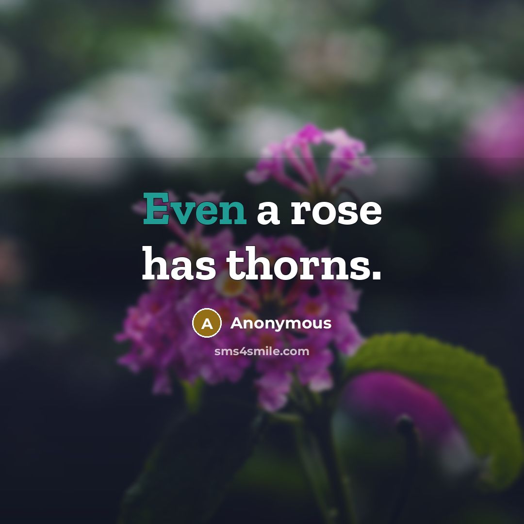 “Even a rose has thorns.” quote by Anonymous