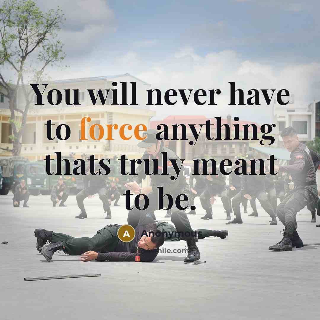 “You will never have to force anything thats truly meant to be.” quote by Anonymous