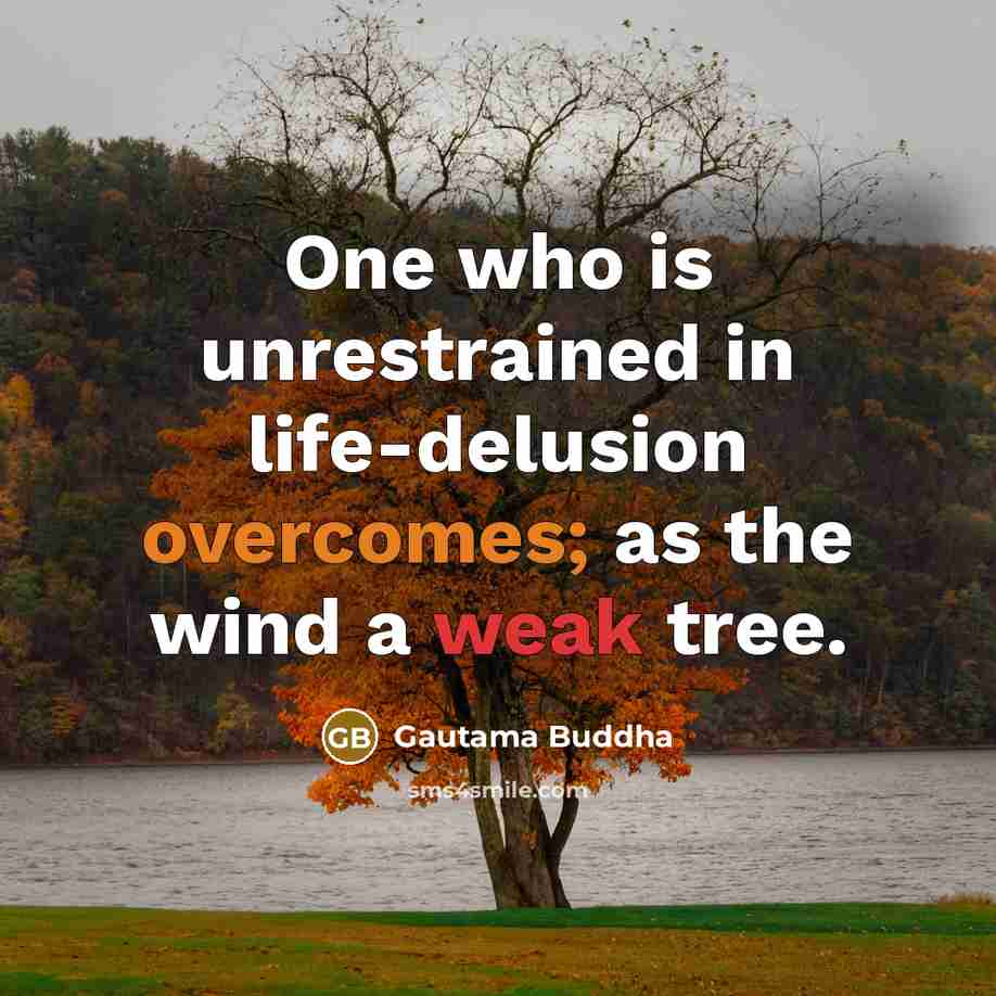 “One who is unrestrained in life-delusion overcomes; as the wind a weak tree.” quote by Gautama Buddha