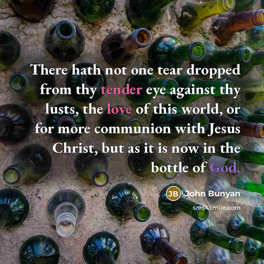 “There hath not one tear dropped from thy tender eye against thy lusts, the love of this world, or for more communion with Jesus Christ, but as it is now in the bottle of God.” quote by John Bunyan