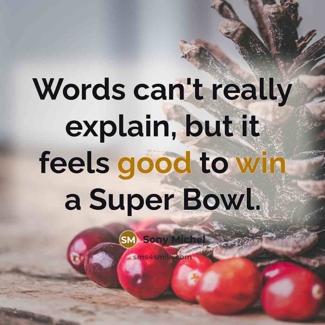 “Words can't really explain, but it feels good to win a Super Bowl.” quote by Sony Michel