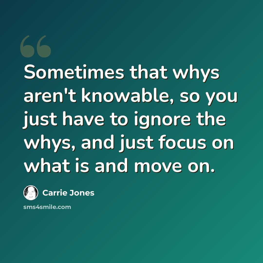 “Sometimes that whys aren't knowable, so you just have to ignore the whys, and just focus on what is and move on.” quote by Carrie Jones