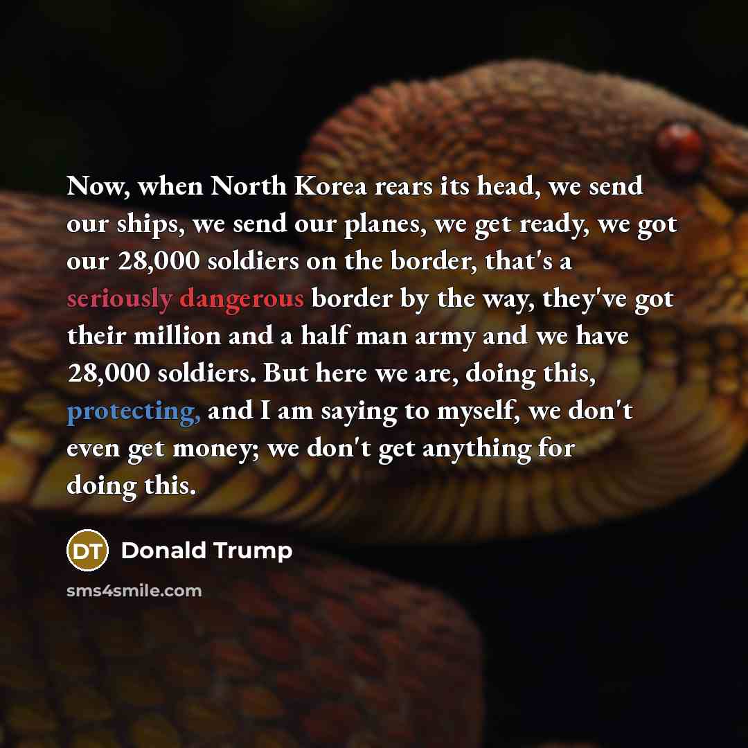 “Now, when North Korea rears its head, we send our ships, we send our planes, we get ready, we got our 28,000 soldiers on the border, that's a seriously dangerous border by the way, they've got their million and a half man army and we have 28,000 soldiers. But here we are, doing this, protecting…” quote by Donald Trump