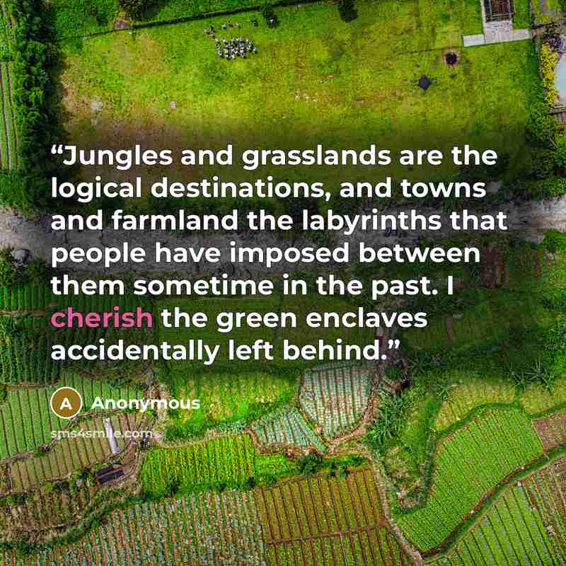 “Jungles and grasslands are the logical destinations, and towns and farmland the labyrinths that people have imposed between them sometime in the past. I cherish the green enclaves accidentally left behind.” quote by Anonymous