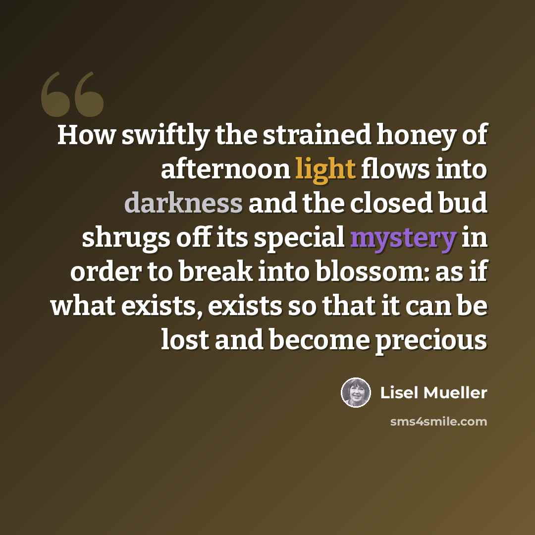 “How swiftly the strained honey of afternoon light flows into darkness and the closed bud shrugs off its special mystery in order to break into blossom: as if what exists, exists so that it can be lost and become precious” quote by Lisel Mueller