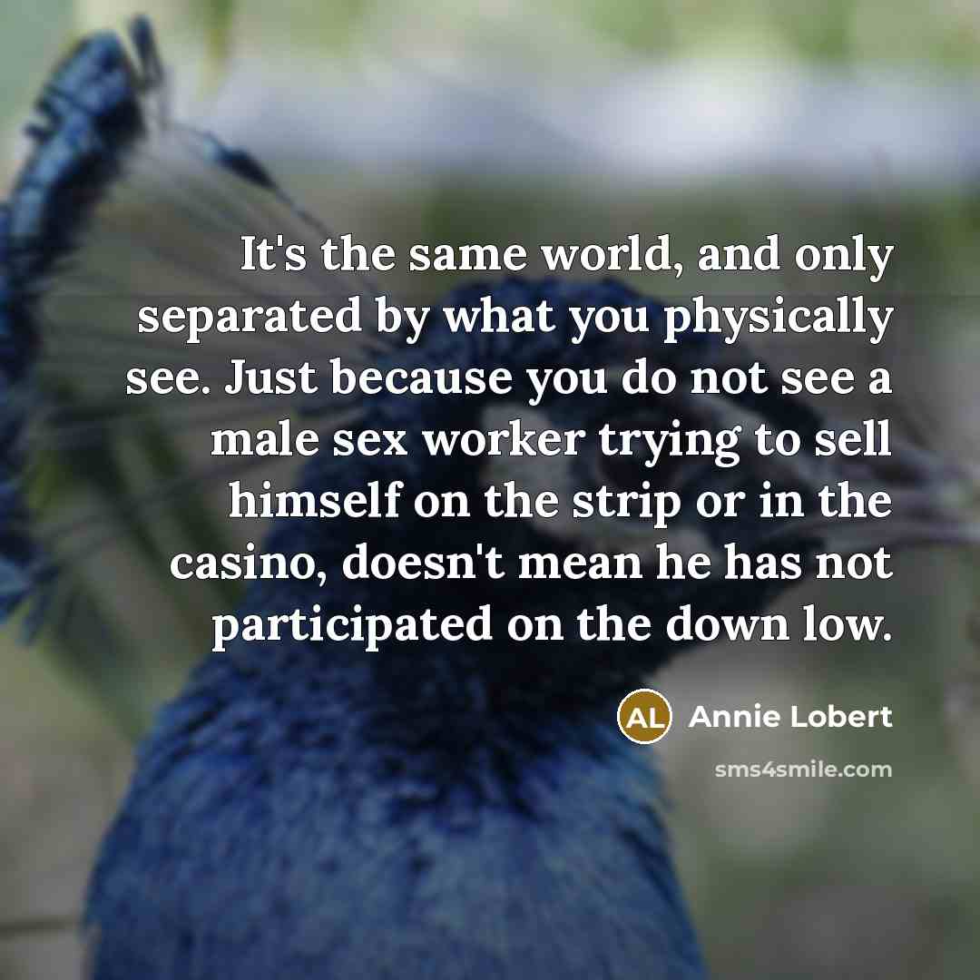 “It's the same world, and only separated by what you physically see. Just because you do not see a male sex worker trying to sell himself on the strip or in the casino, doesn't mean he has not participated on the down low.” quote by Annie Lobert